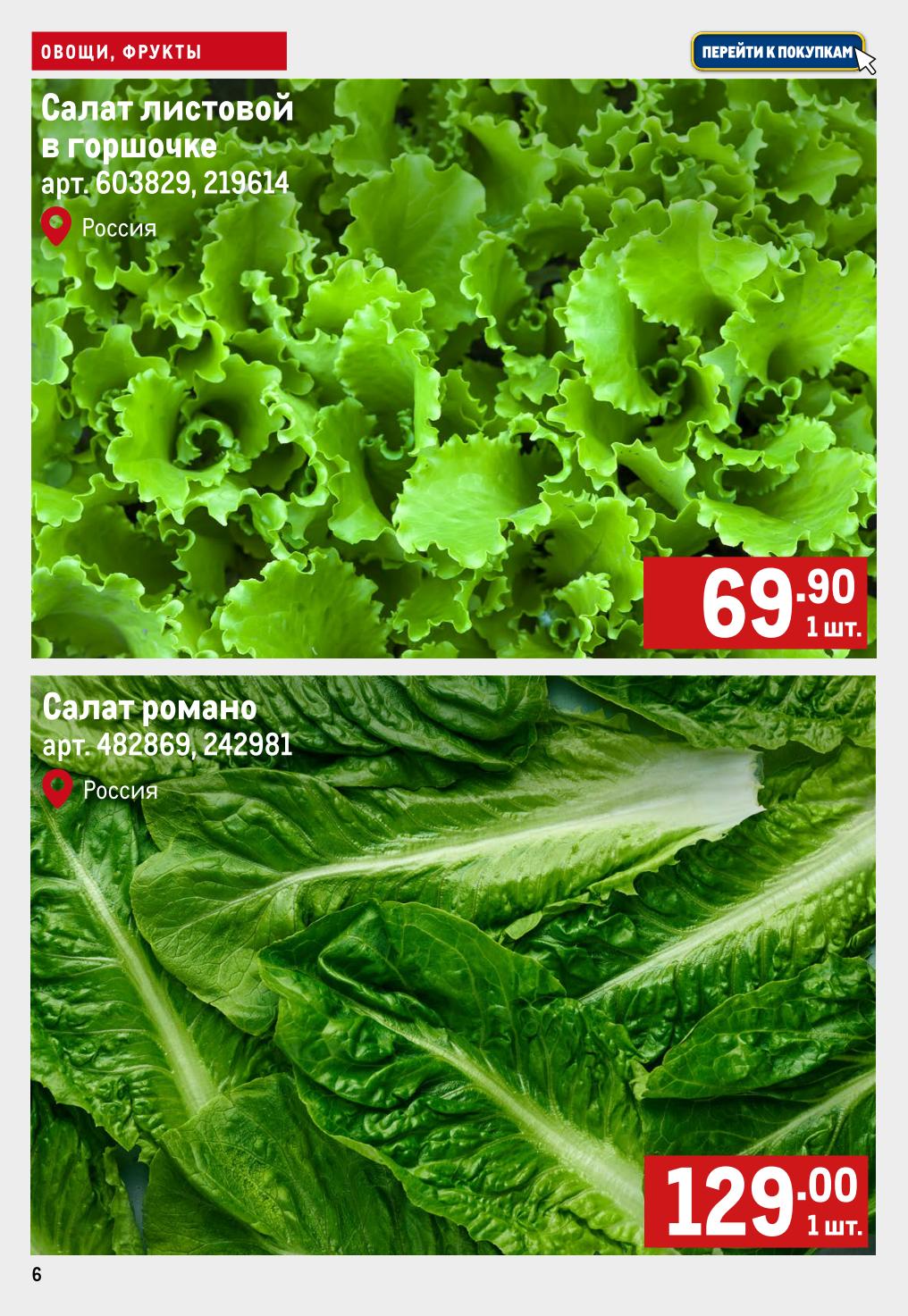 Салат листовой в горшке 69р, салат романо 129р. 